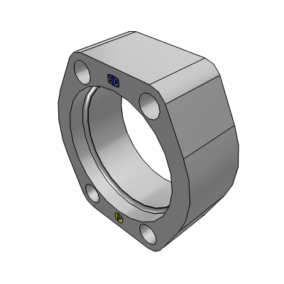 Collar Flange with Retaining Ring