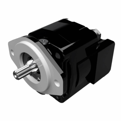 Cast Iron Motors - PGM315 Series