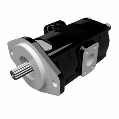 Cast Iron Pumps - PGP315 Series