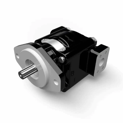 Cast Iron Pumps - PGP330 Series