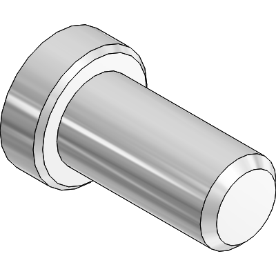 Indicator insert screw