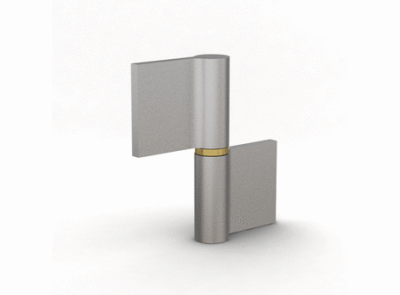 Flag hinges B - steel pin - brass washer