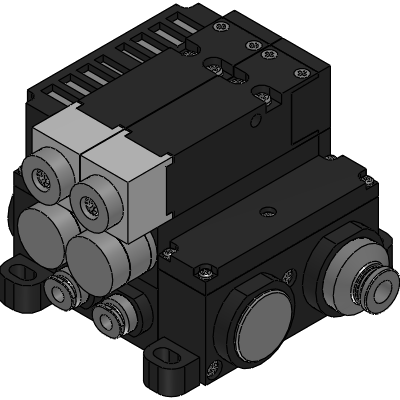 Manifold type