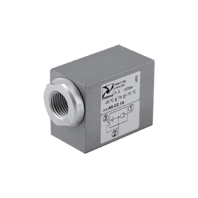 Quick exhaust valve 1/4 NPT