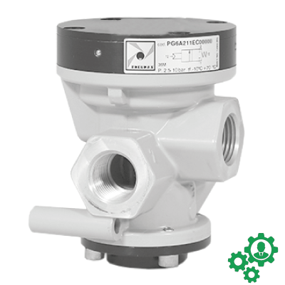 POPPET VALVES PG SERIES G1
