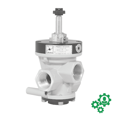 POPPET VALVES PG SERIES G3/4