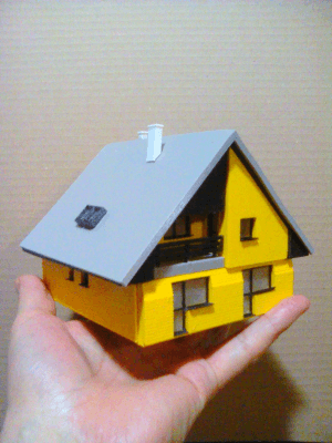 My house 1:100 (kit