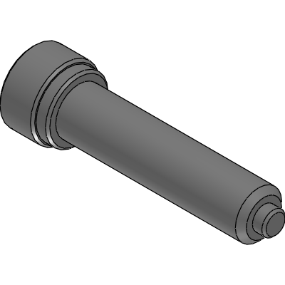 Socket Head Cap Screws - Metal Standard Head with Tip