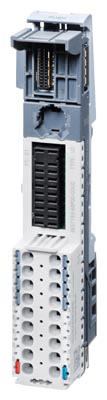 Field bus, decentralized peripheral - module carrier