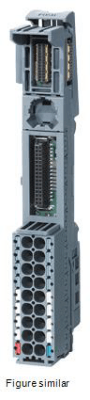 Field bus, decentralized peripheral - module carrier