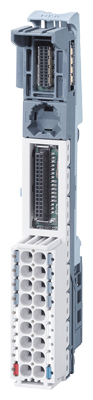 Field bus, decentralized peripheral - module carrier