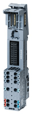 Field bus, decentralized peripheral - module carrier
