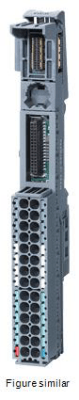 Field bus, decentralized peripheral - module carrier