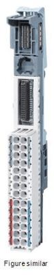 Field bus, decentralized peripheral - module carrier