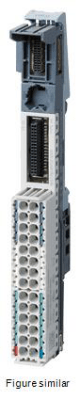Field bus, decentralized peripheral - module carrier