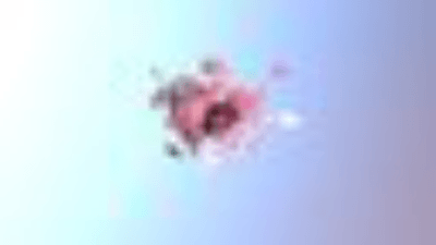 IC