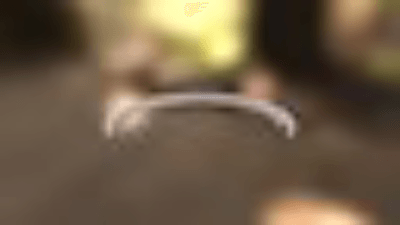 LS
