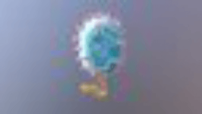 NP