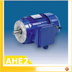 High efficiency induction self brake motors