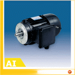 Inverter induction self brake motors
