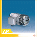 Single-phase induction self brake motors