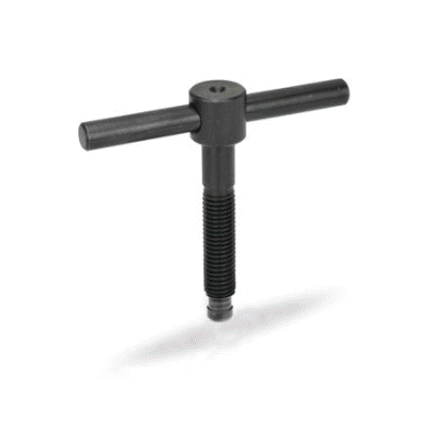 Toggle screw with fixed toggle