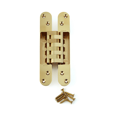 BRASS CONCEALED HINGE