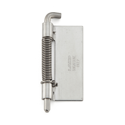 SPRING LOADED PIVOT HINGE