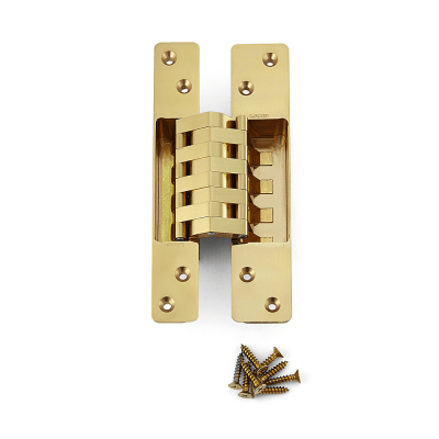 BRASS CONCEALED HINGE