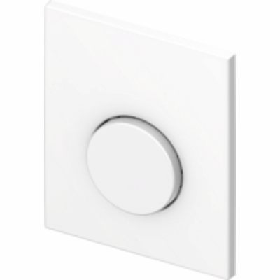 Urinal flush plate