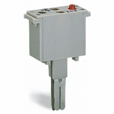 Component plug, 2-pole, 10 mm wide