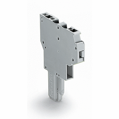 Connettore femmina per 2 conduttori, CAGE CLAMP®, 4 mm², Passo pin 5 mm, 1 polo, Pin di codifica