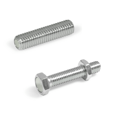 Screws with retaining magnet