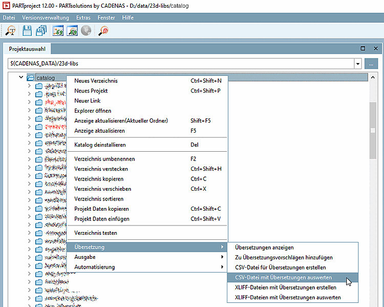 Import CSV for translation