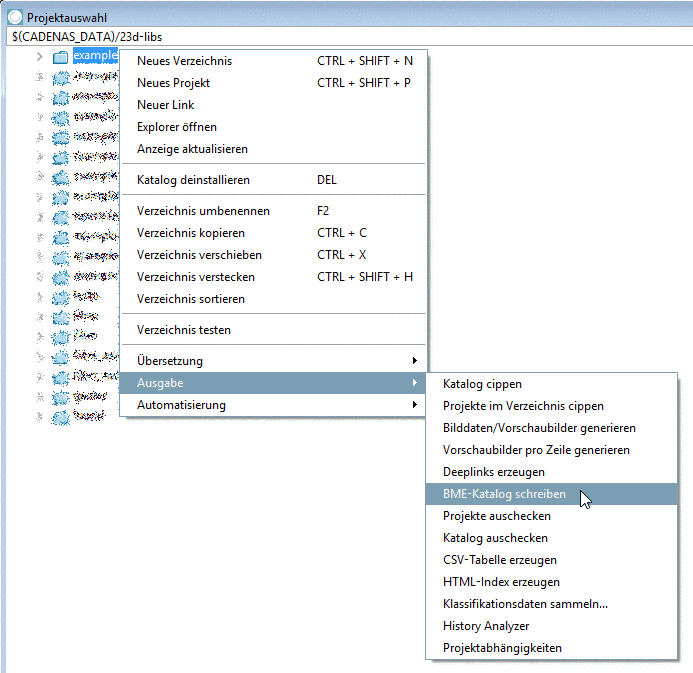 Projektauswahl - Kontextmenü