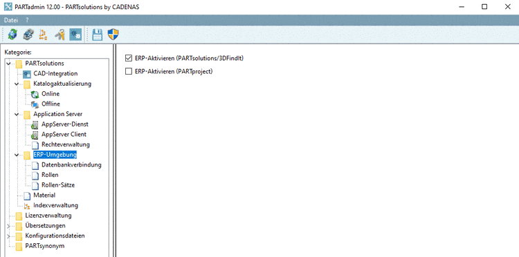 Kategorie "ERP-Umgebung"