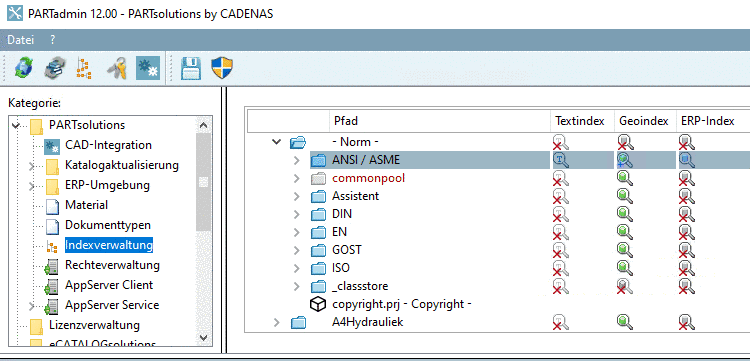 Die Abbildung zeigt die Situation mit dem neuen Index nach frisch installierter V12. Nur für den "ANSI"-Katalog wurde der Index bereits neu erstellt.
