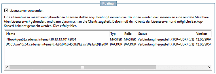 Option "Lizenzserver verwenden [Using the License Server]" aktiviert