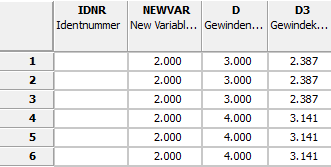 Ausgangssituation: Variable NEWVAR mit Wert 2.000