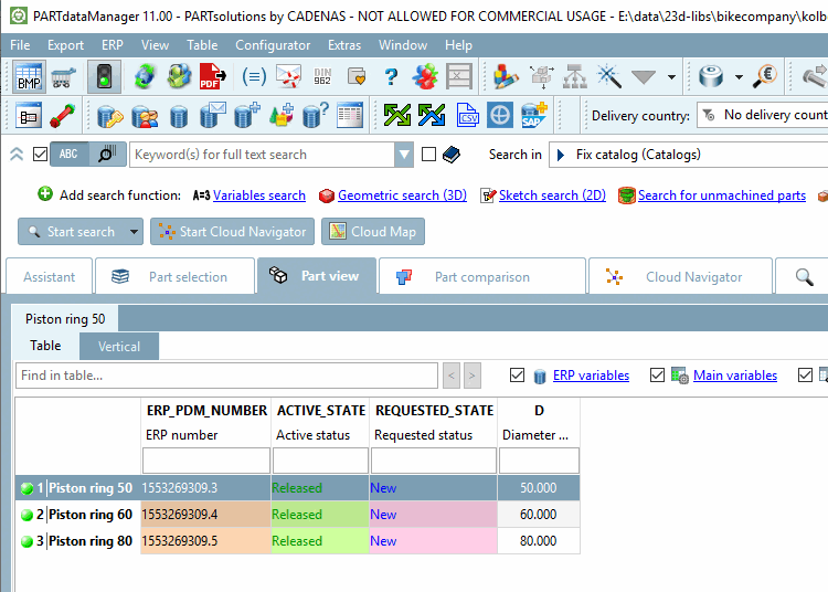 Projekt "Kolbenring"
