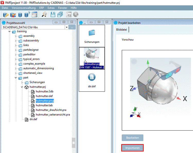 Vorschaubild auf Projektebene importieren