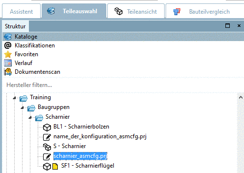 Configuration - asmcfg.prj