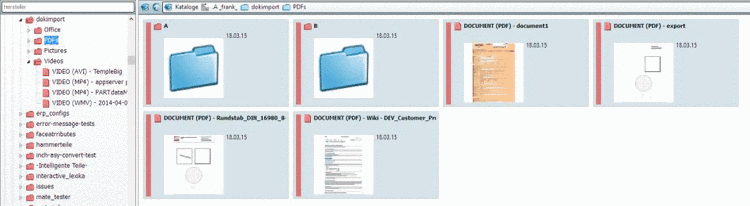 Preview images of PDF documents