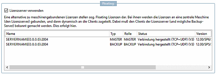 Option "Utiliser le serveur de licences [Using the License Server]" activée