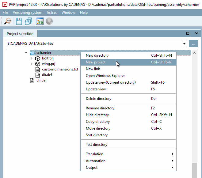 Chiamare "Nuovo progetto [New project]".