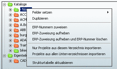 Directory level with connections